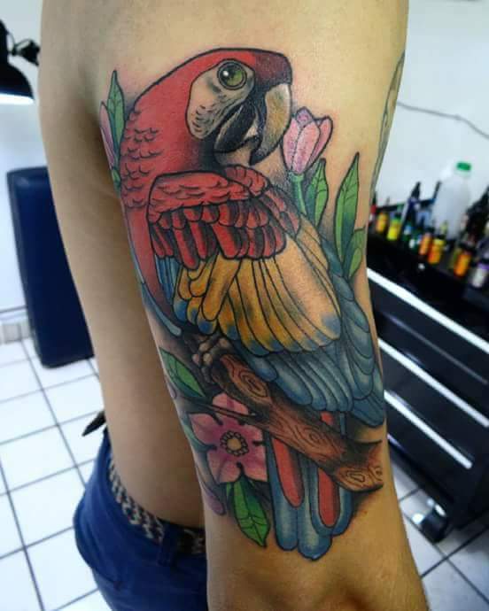Guacamaya  tatuaje realizado por Oscar Ortiz