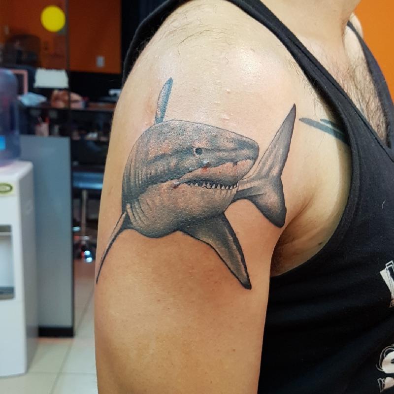 Tiburon tatuaje realizado por The inkperfect tattoo shop 