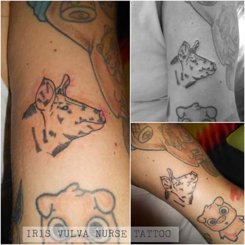 Cabeza de Puerco (pig head) tatuaje realizado por Iris Vulva Nurse