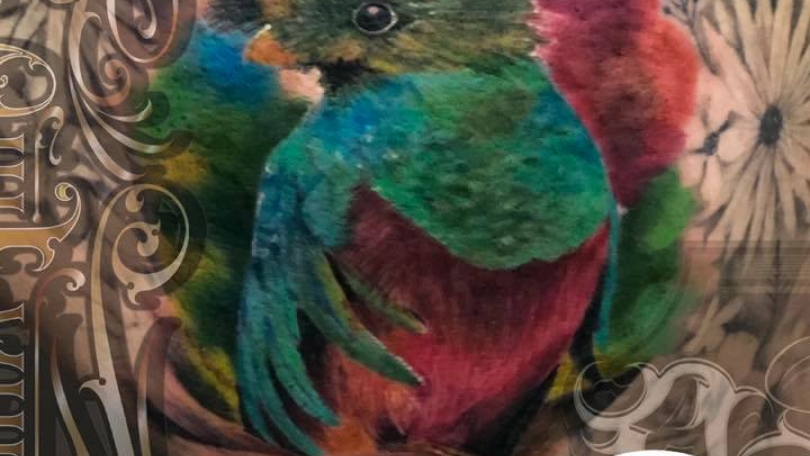 Tatuaje del artista Mexicano Fabian Rojas, Ave multicolor | Tatuajes y más