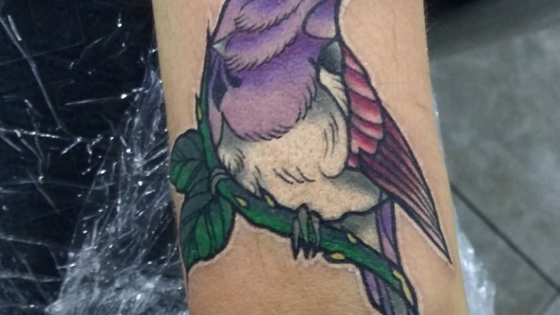 Tatuaje del artista Mexicano AR KY, Ave en rama a color | Tatuajes y más