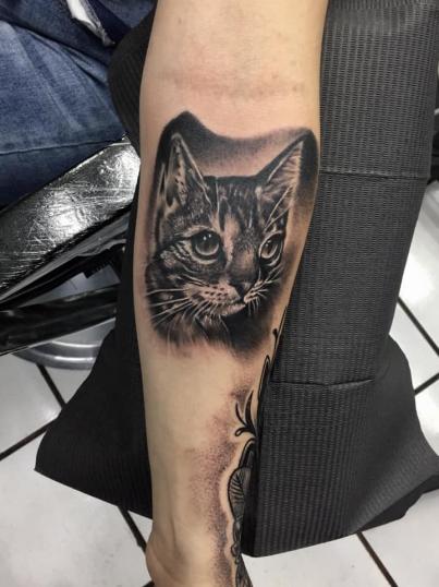 Gato tatuaje realizado por Raphael Rios